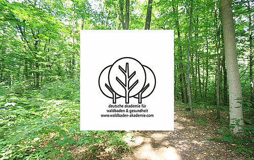 Logo Kooperation Deutsche Akademie Waldbaden
