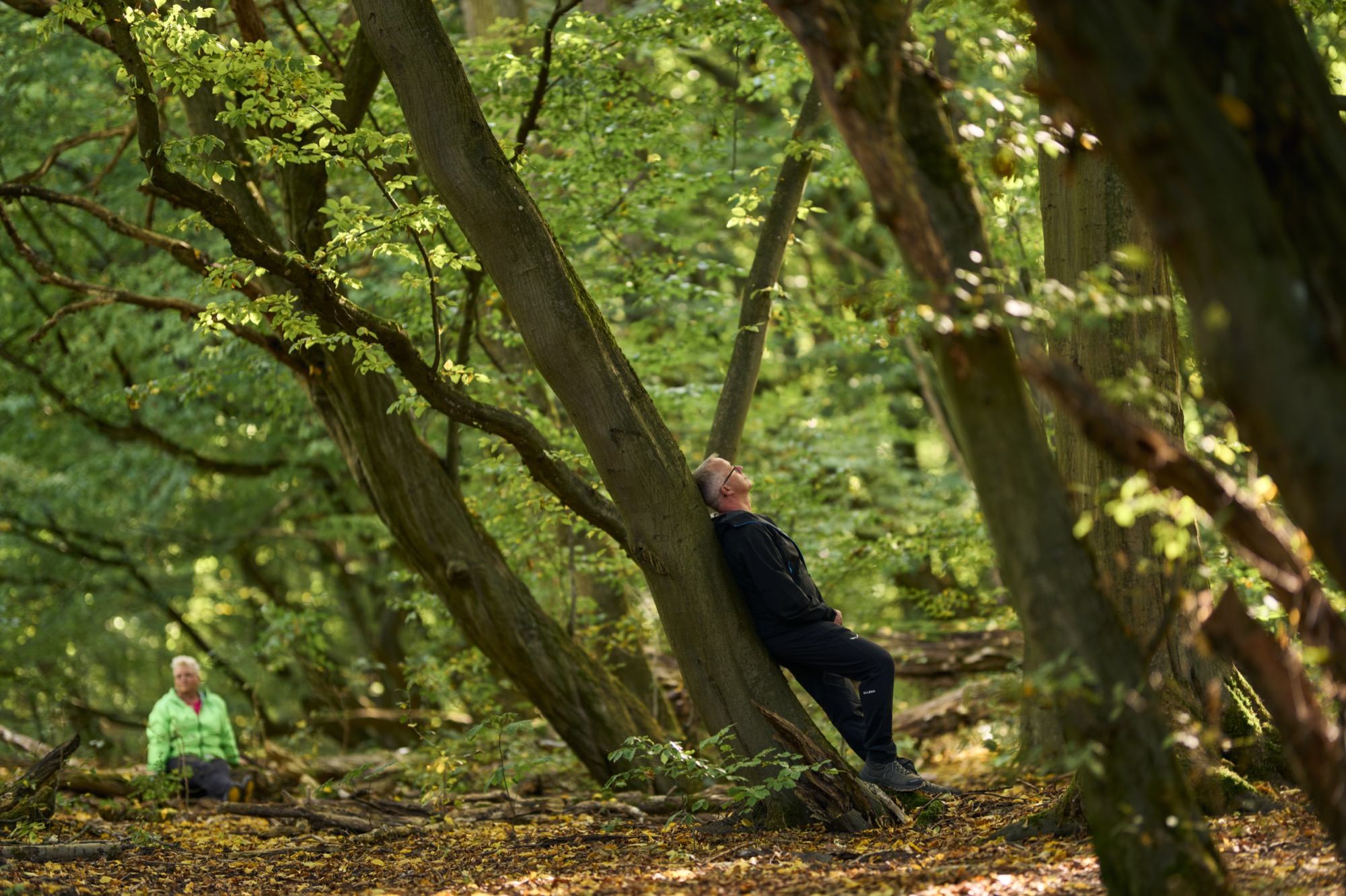 Person beim Waldbaden